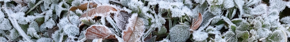 Weg in die Stille - Andrea Schmidt