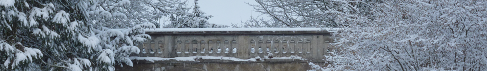 Weg in die Stille - Andrea Schmidt