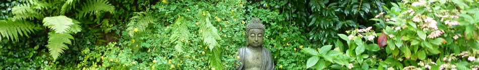 Weg in die Stille - Andrea Schmidt